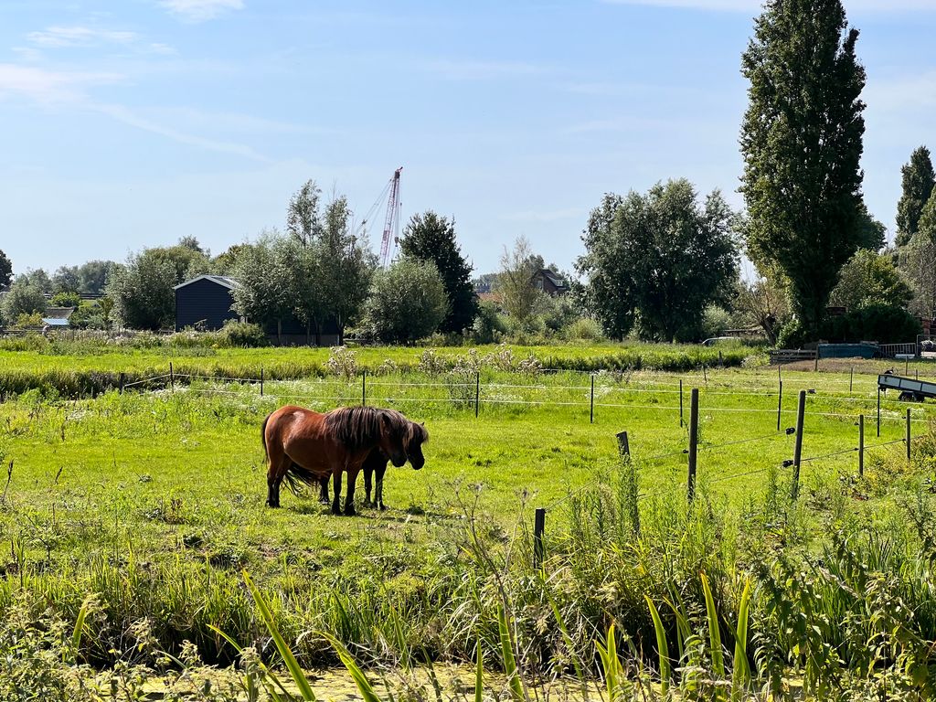 Holland — photo 58